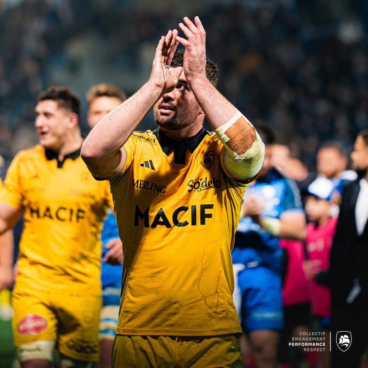 staderochelais's tweet photo. 💛
#COSR | #Top14 | #FievreSR https://t.co/2QtIFCU2Hi