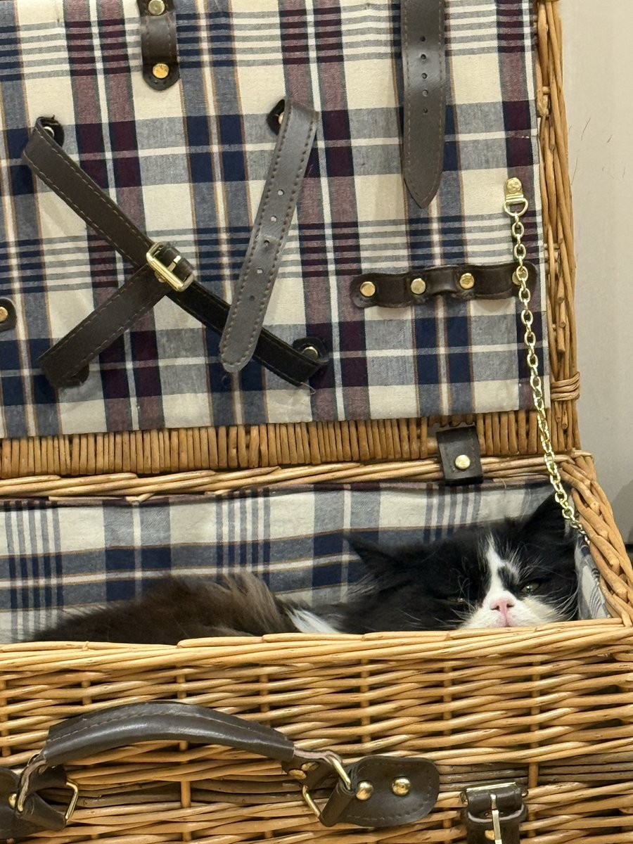 Sarah Evans tweet media