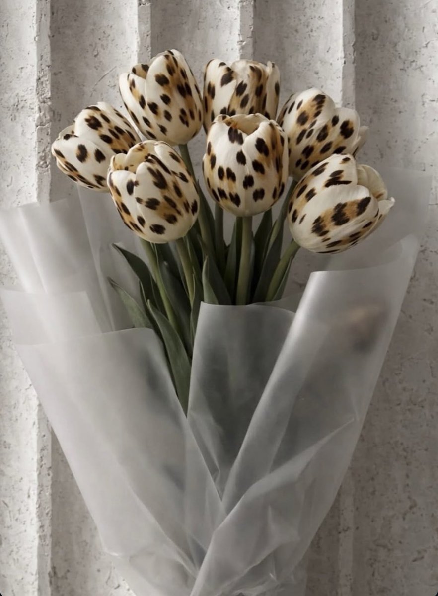 leopar lale 🤭🤭🤭🤭🤭🤭