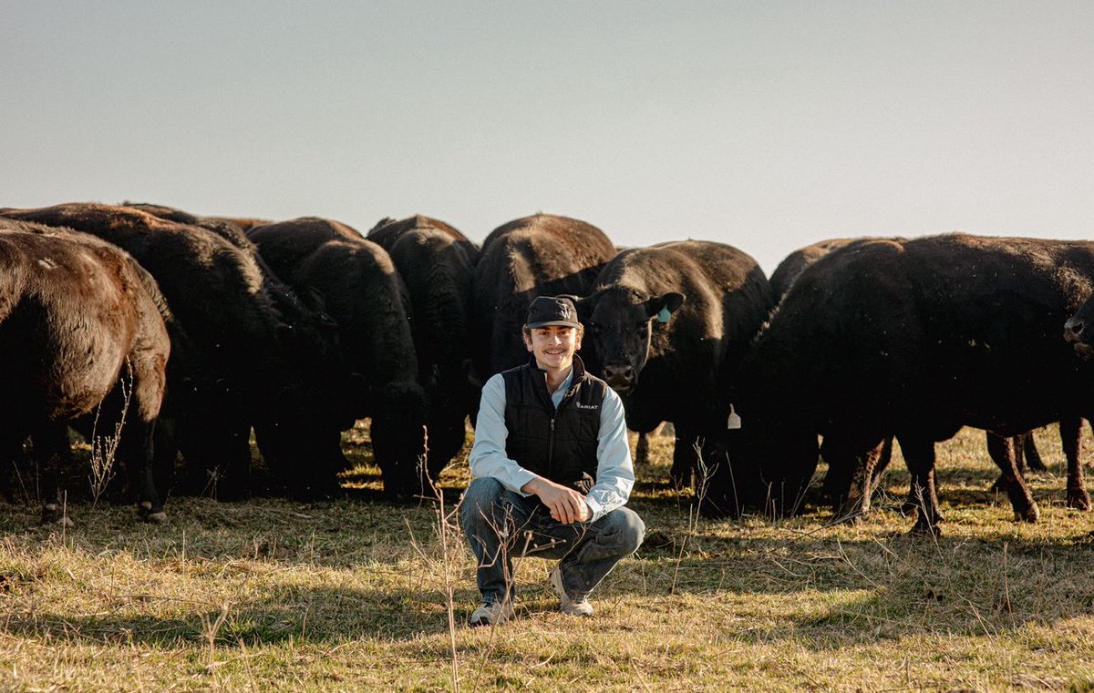 Missouri Cattlemen's tweet media