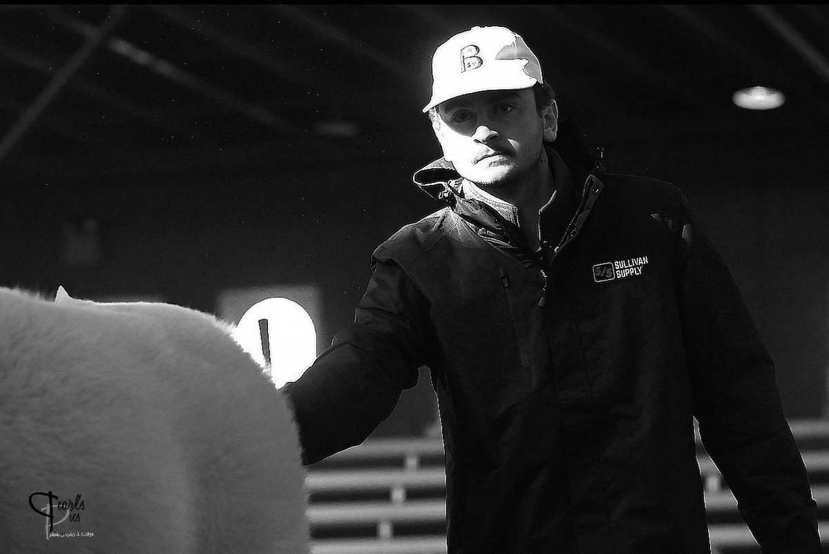 Missouri Cattlemen's tweet media