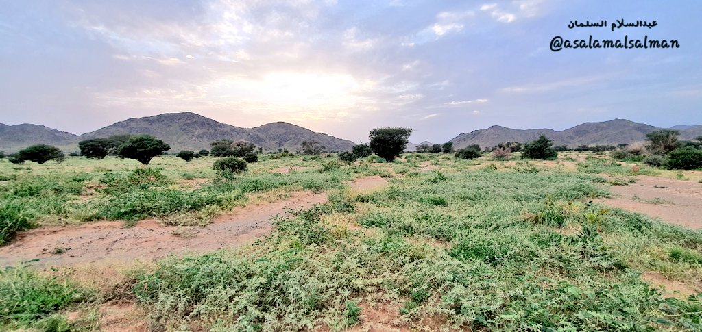 عبدالسلام السلمان tweet media