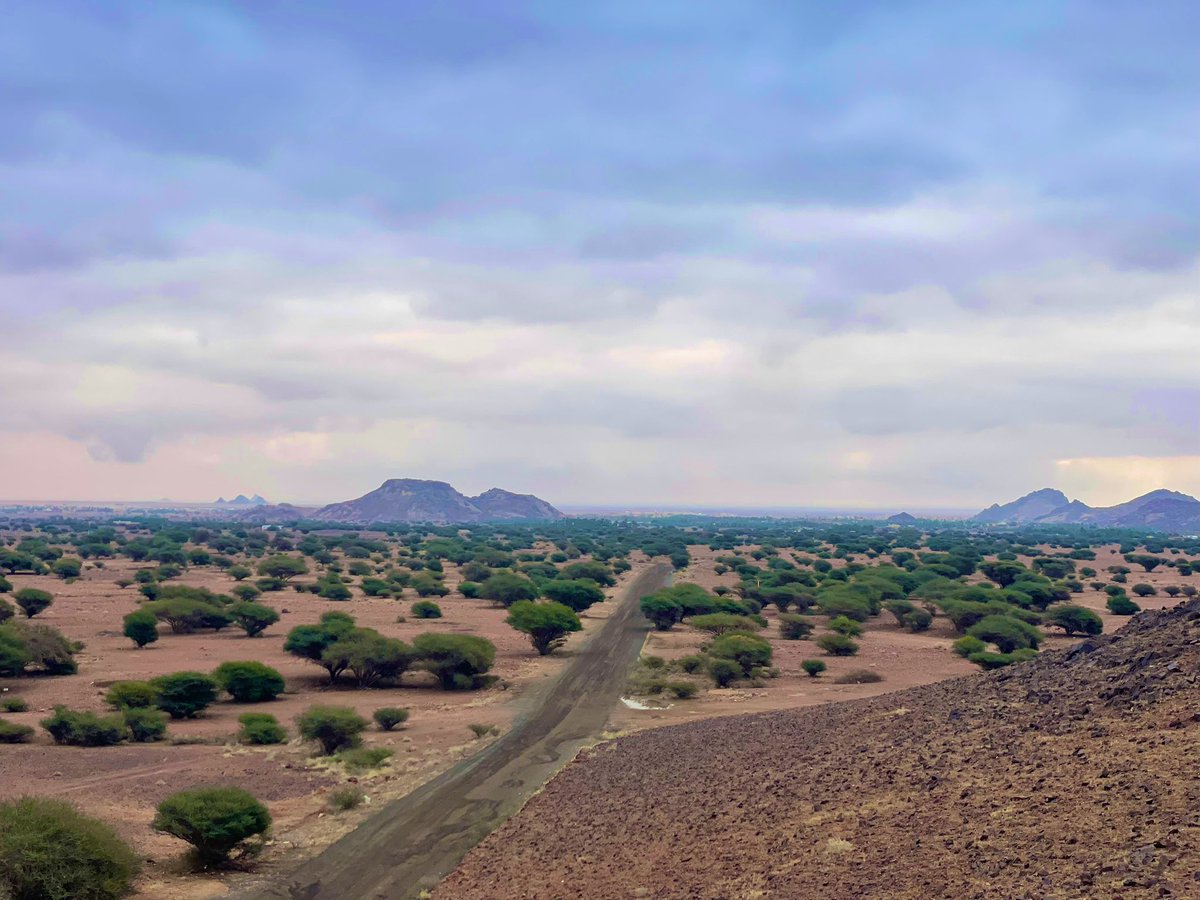 عبدالسلام السلمان tweet media