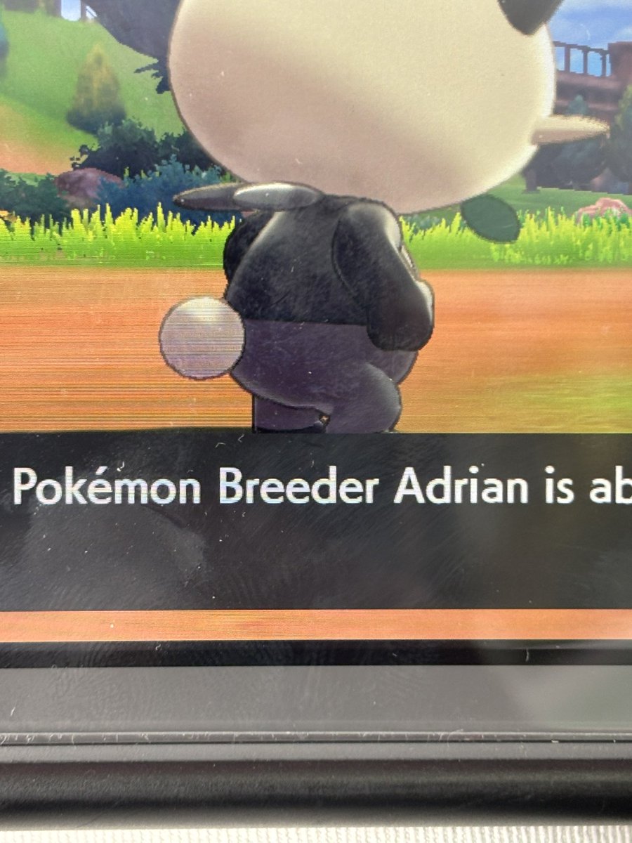 louis 🍉 tweet media