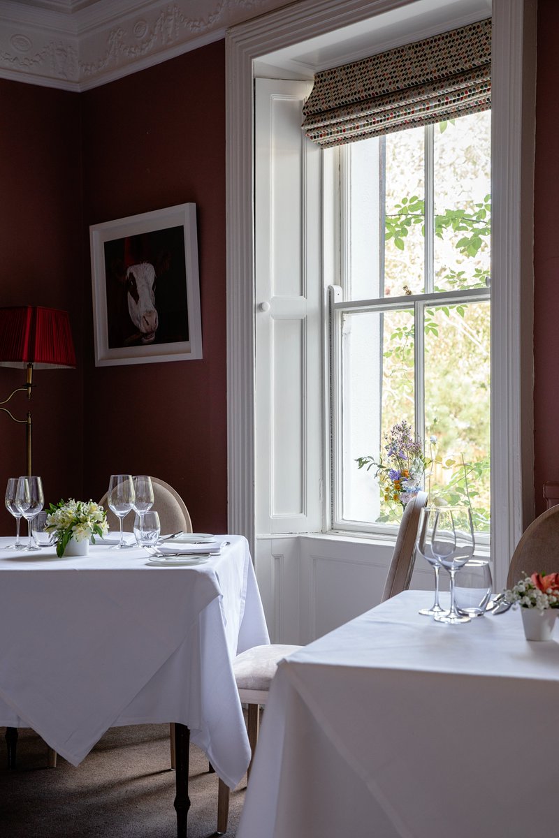 Ireland's Blue Book tweet media