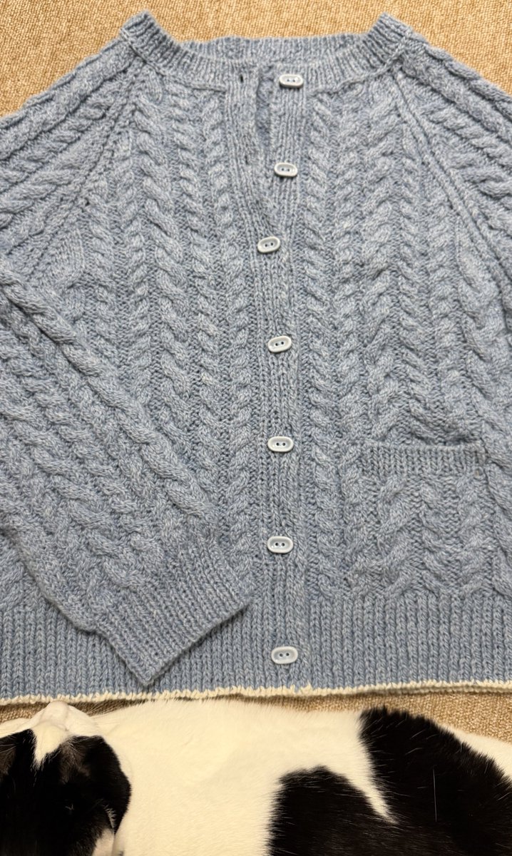 아즈 🧶 tweet media