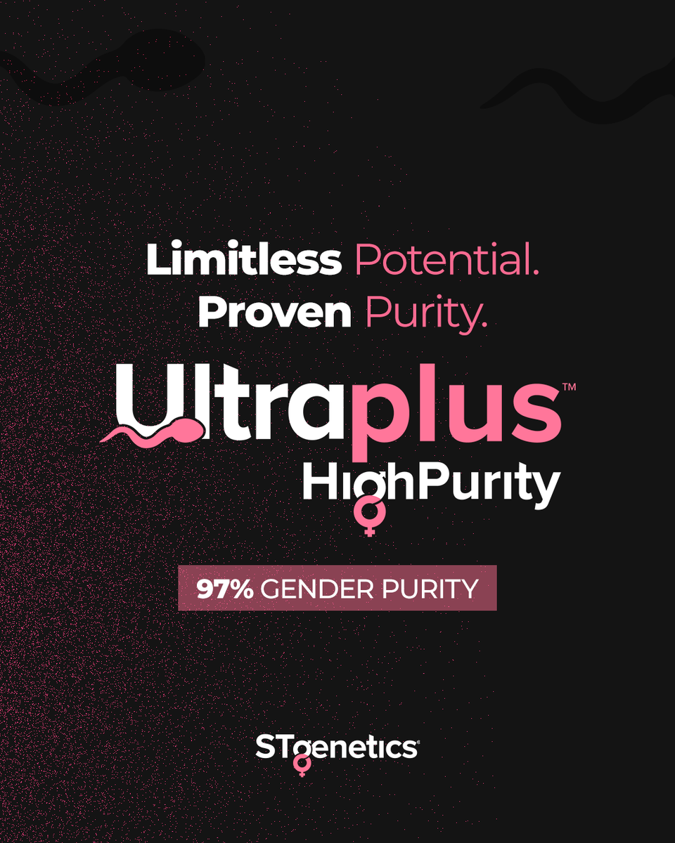 STgenetics's tweet image. Genetics Designed for Precise Decisions!
✔️ Higher precision and accuracy in your herd with less straws
✔️ New opportunities for other revenue streams such as Beef on Dairy
✔️ Faster genetic progress and stronger ROI
#UltraplusHighPurity #BeefAddOn #Ultraplus #GenderSortedSemen