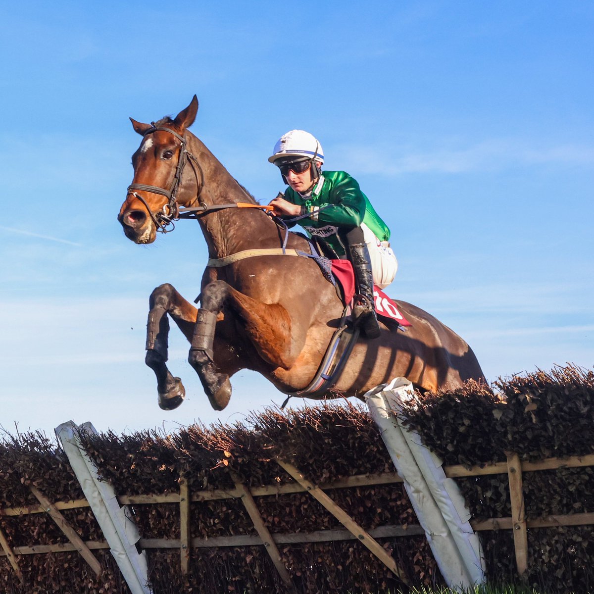 Haydock Park Races tweet media