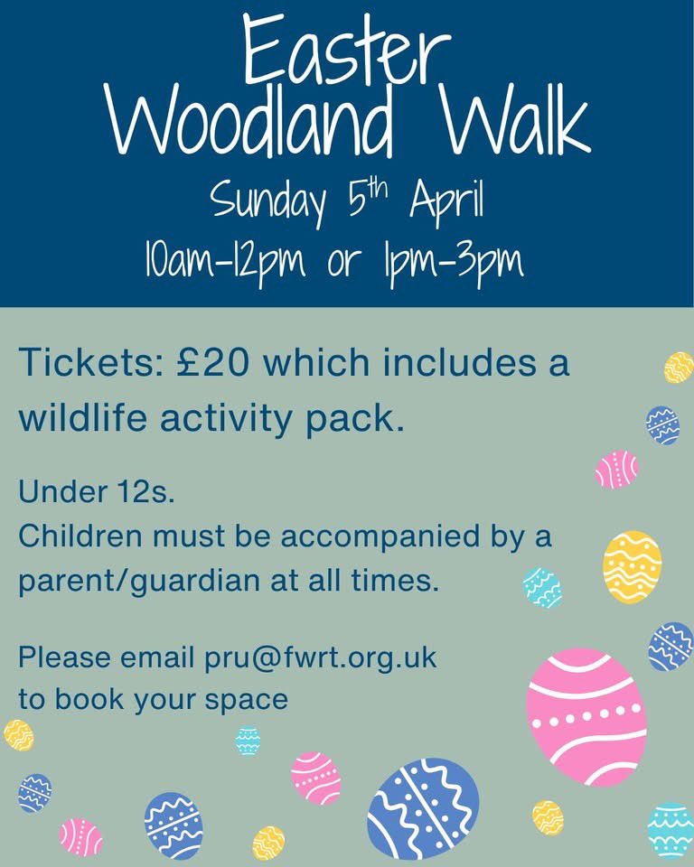 Folly Wildlife Rescue tweet media