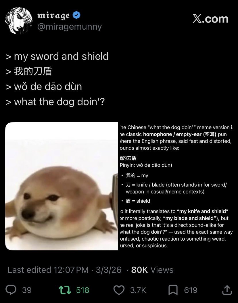 𝖒𝖎𝖗𝖆𝖌𝖊 tweet media