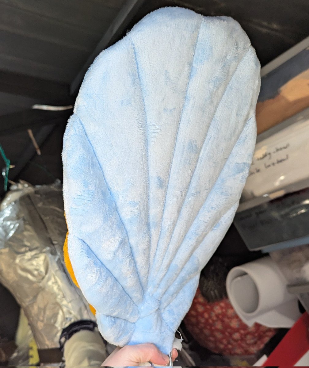 literally just a worm (SC+ CFZ) tweet media