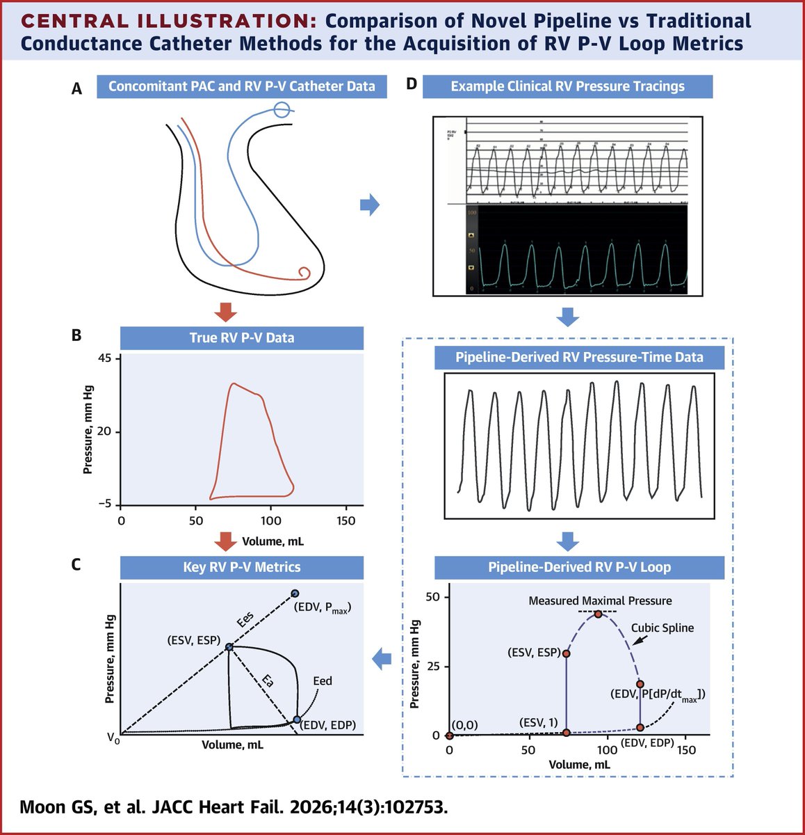 Adrian da Silva tweet media