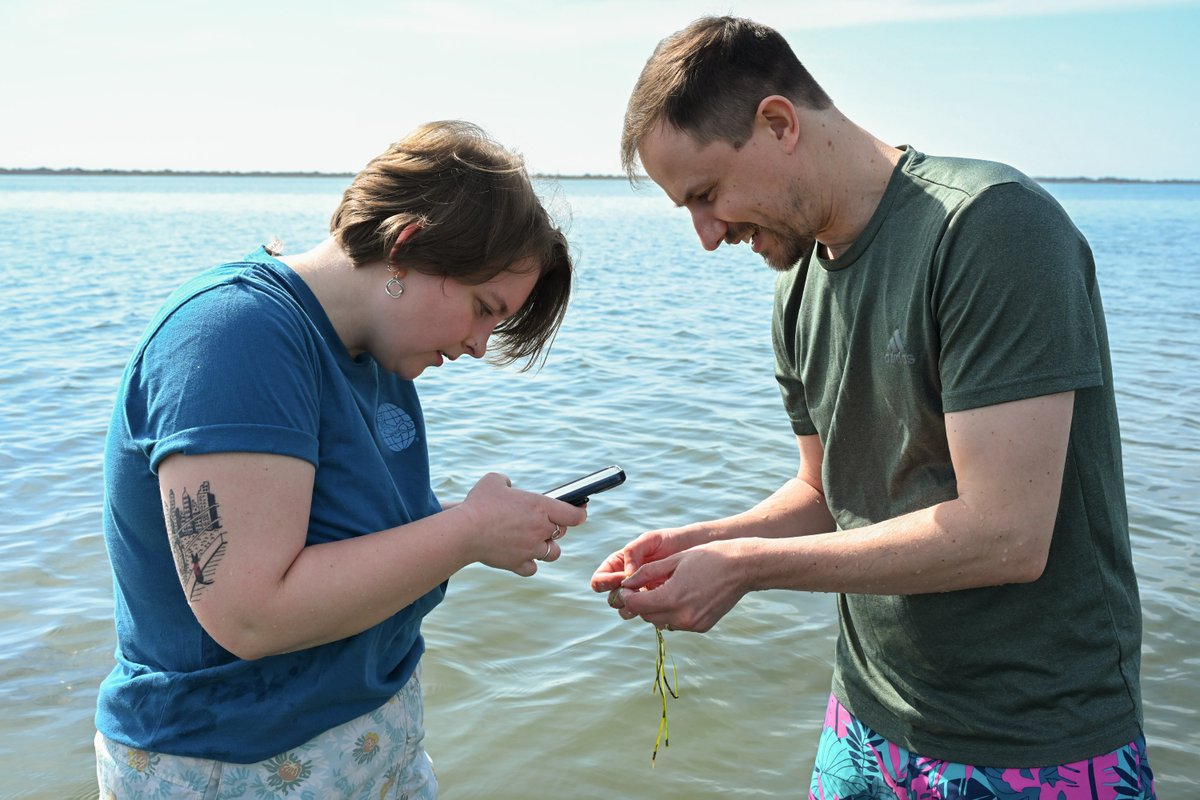 UMES SANS tweet media