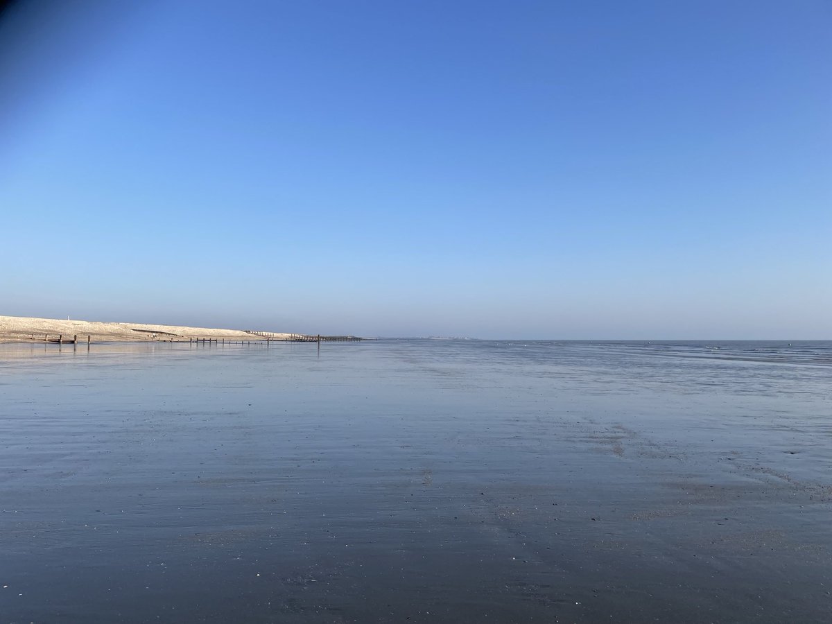 Nikki de Villiers 🩵 tweet media