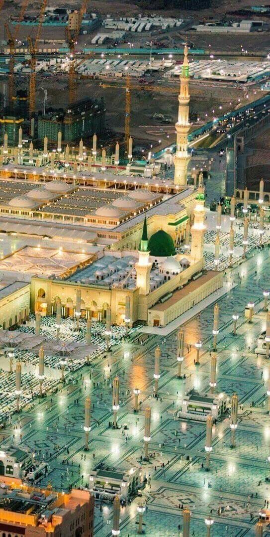 د.جمال الحمداء tweet media