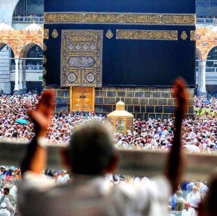 د.جمال الحمداء tweet media