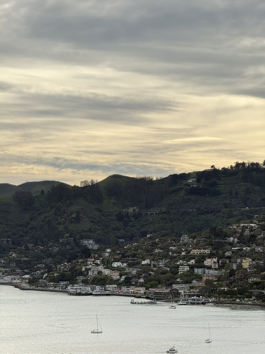 aidan murphy tweet media