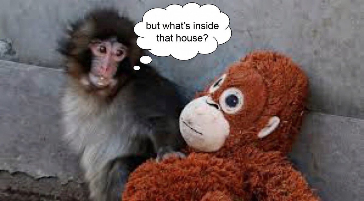 CryptoSoundie tweet media