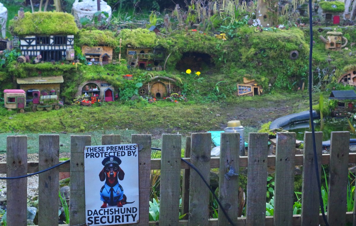 George the Mouse in a log pile house - Simon dell tweet media