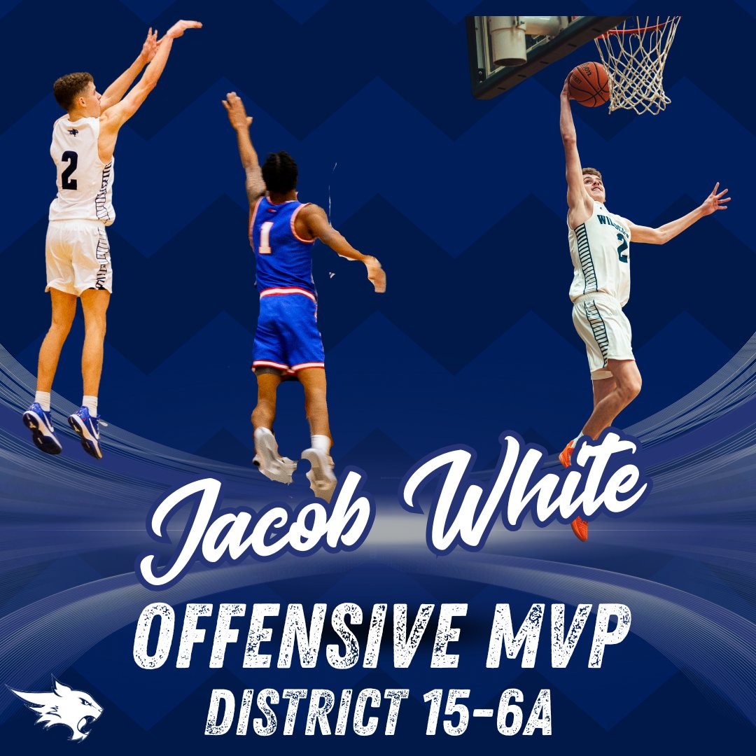 Matt Bailey tweet media