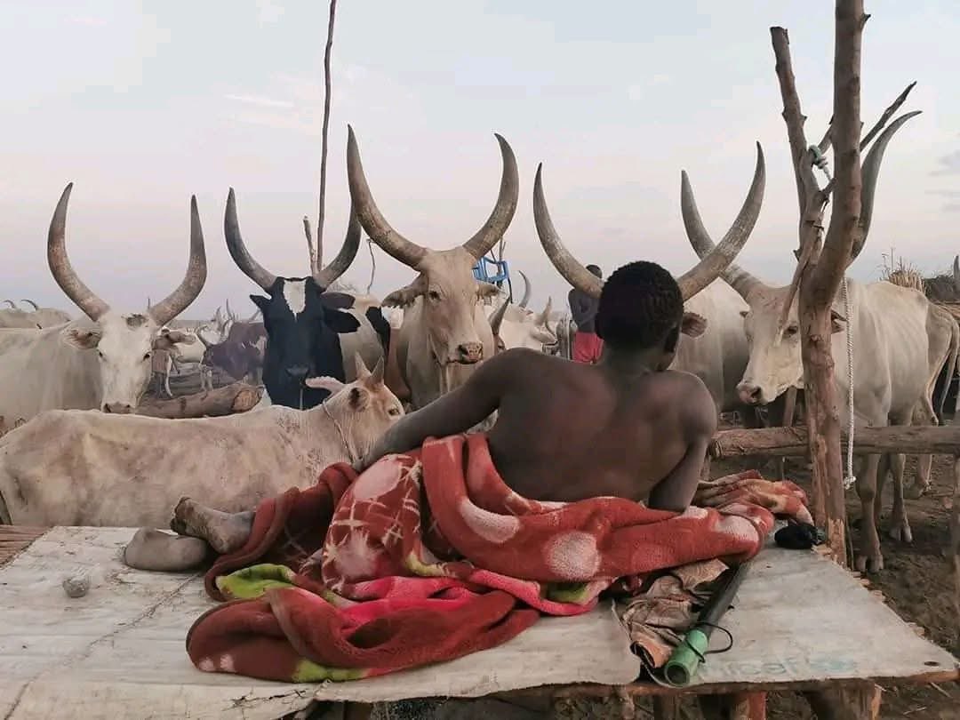 South Sudanese on X🇸🇸 tweet media