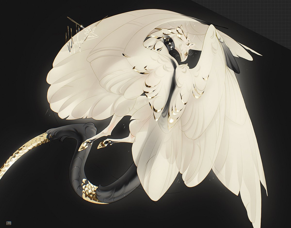 Ryka 𓅃 tweet media