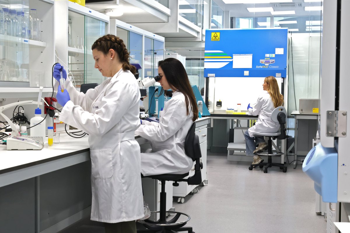 UCAM_Investiga's tweet photo. 🎓 La Escuela Internacional de Doctorado de la UCAM ha obtenido la acreditación institucional de ANECA, convirtiéndose en la primera universidad privada en lograr este reconocimiento y la segunda en todo el territorio ANECA.

📚 Este respaldo avala la calidad de sus cuatro programas de doctorado y una trayectoria consolidada formando investigadores, con más de 1.000 tesis defendidas y más de 600 doctorandos actualmente matriculados, además de una proyección internacional con más de 110 estancias en 27 países y colaboración con 264 instituciones de 29 países.

🔗 Descubre todos los detalles en la noticia completa:
https://t.co/bOERs7sco2