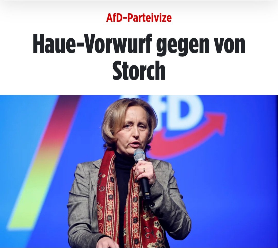 Die Störchin soll zugeschlagen haben.