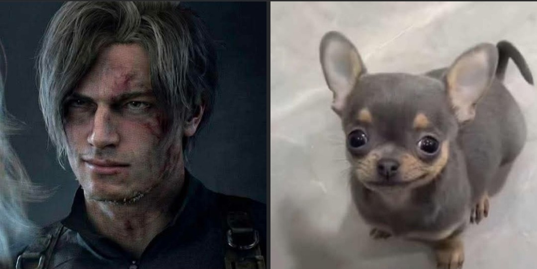 ValkFlight tweet media