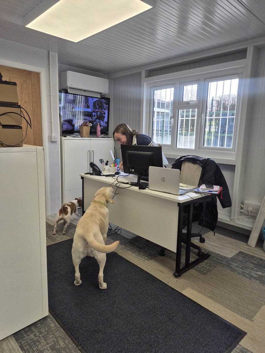 peakerpattinson's tweet image. 🎉🎉It's official🎉🎉

Our new offices have Bonnie &amp;amp; Frank's seal of approval 🐕🐶

#OfficeDogs #newoffices #relocation #onthemove #officemove #sealofapproval