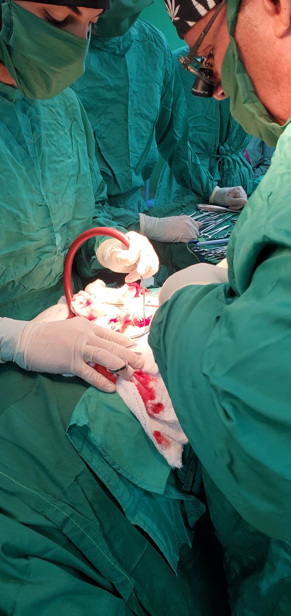 Nuestros profesionales no solo brindan su quehacer en las aulas. Desde cada rincón del sistema nacional de salud, brindar atención al pueblo avileño. #CubaPorLaVida