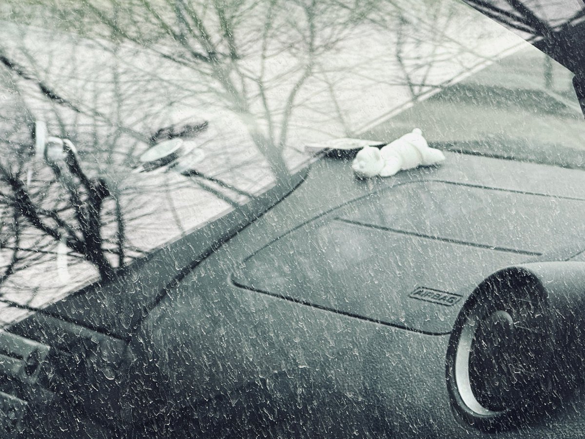 rosamimosaмоя tweet media