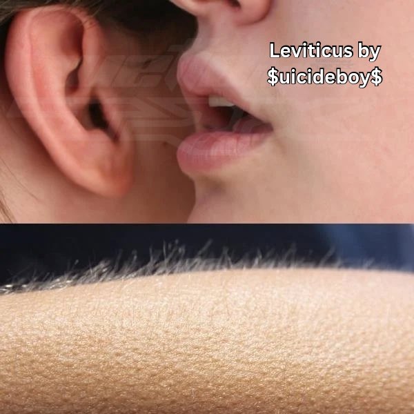 kat (@wettointhattrx) on Twitter photo 