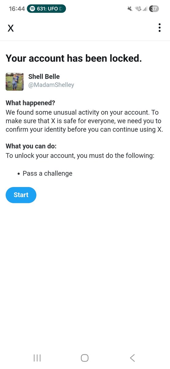 Shell Belle tweet media