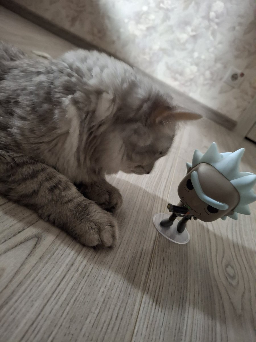 retardedHawley's tweet photo. @varietygoods My cat Morty with funko Rick Sanchez 🥺 https://t.co/acsOVlPv83