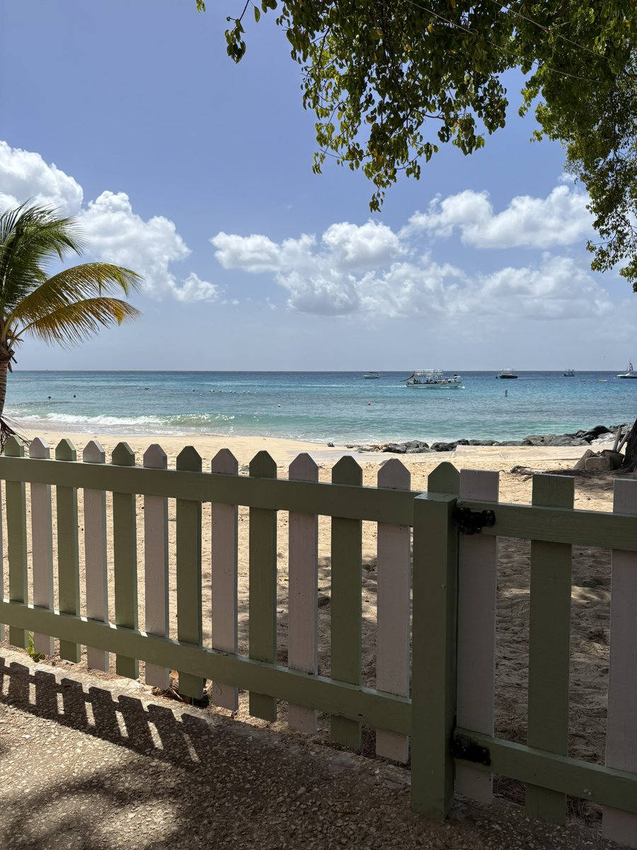 Eclectikmix tweet media