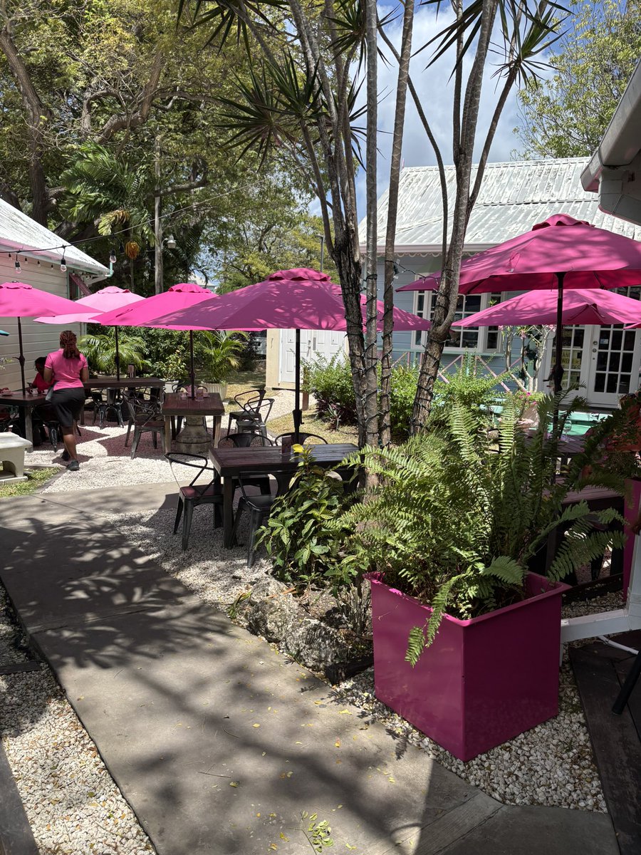 Eclectikmix tweet media