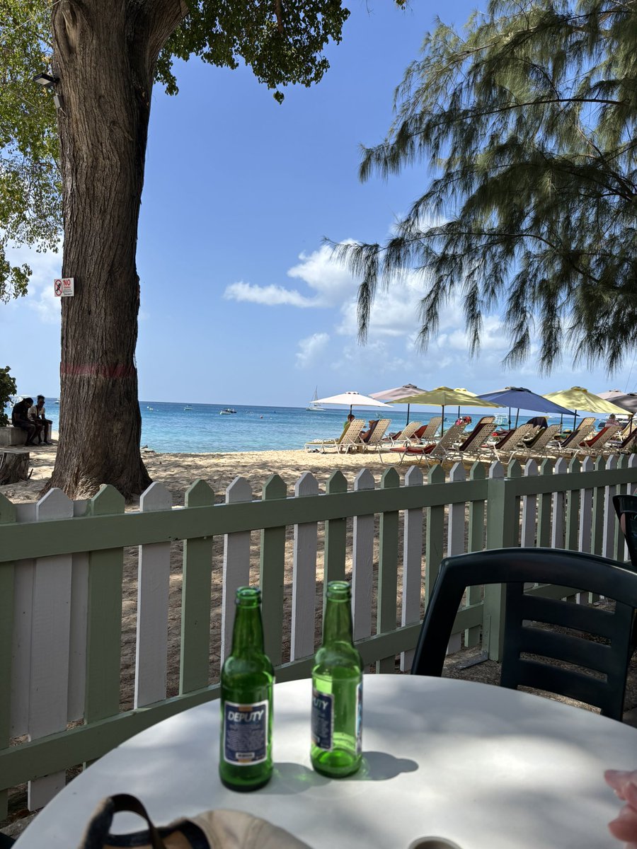 Eclectikmix tweet media