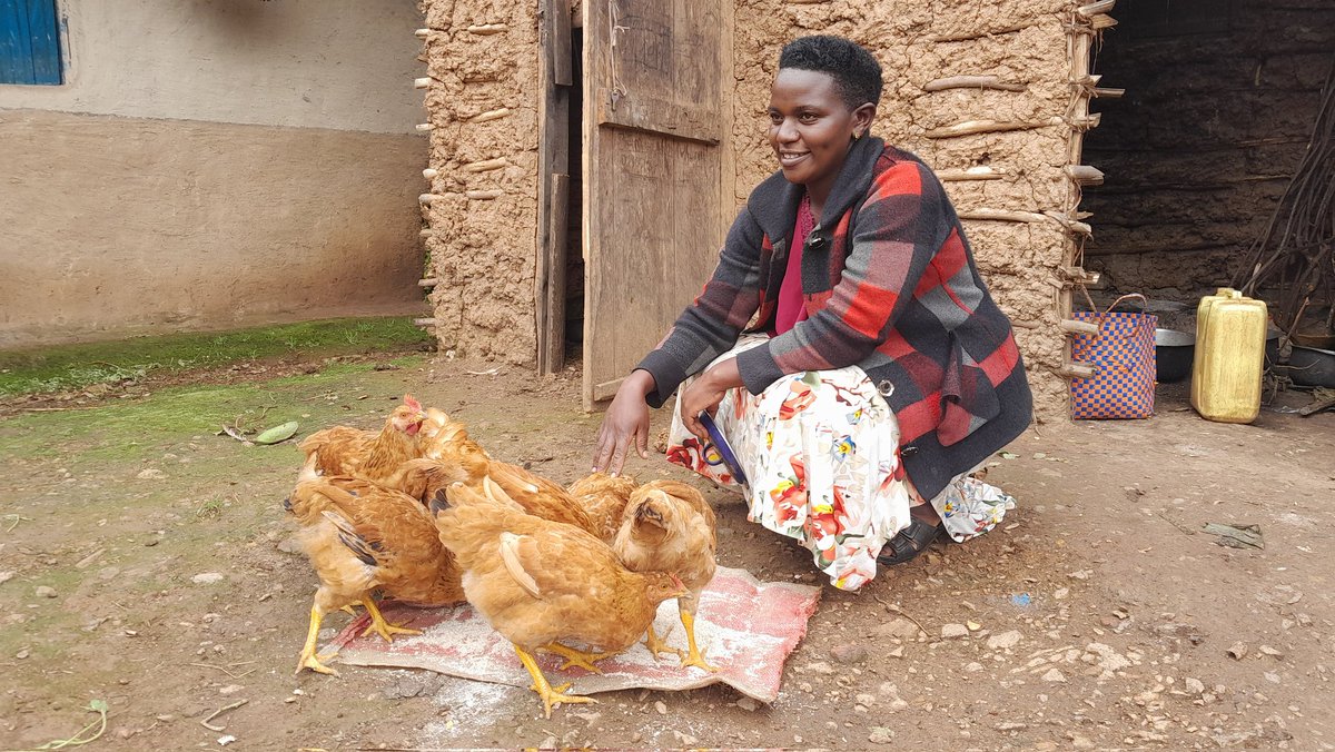 CommonGroundUg's tweet photo. Meet Ayebale Sonia, a PIP Farmer from Kirwa-Butambi community in Rubanda district who after receiving PDM funds she invested in bulking sorghum, which she later sold and used the money to buy a young bull and 20 chicks. @NLinUganda @ISSDUganda https://t.co/fw3oYqOQg4