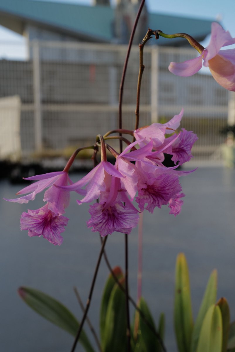 yu (@3mimolette) / Posts / X