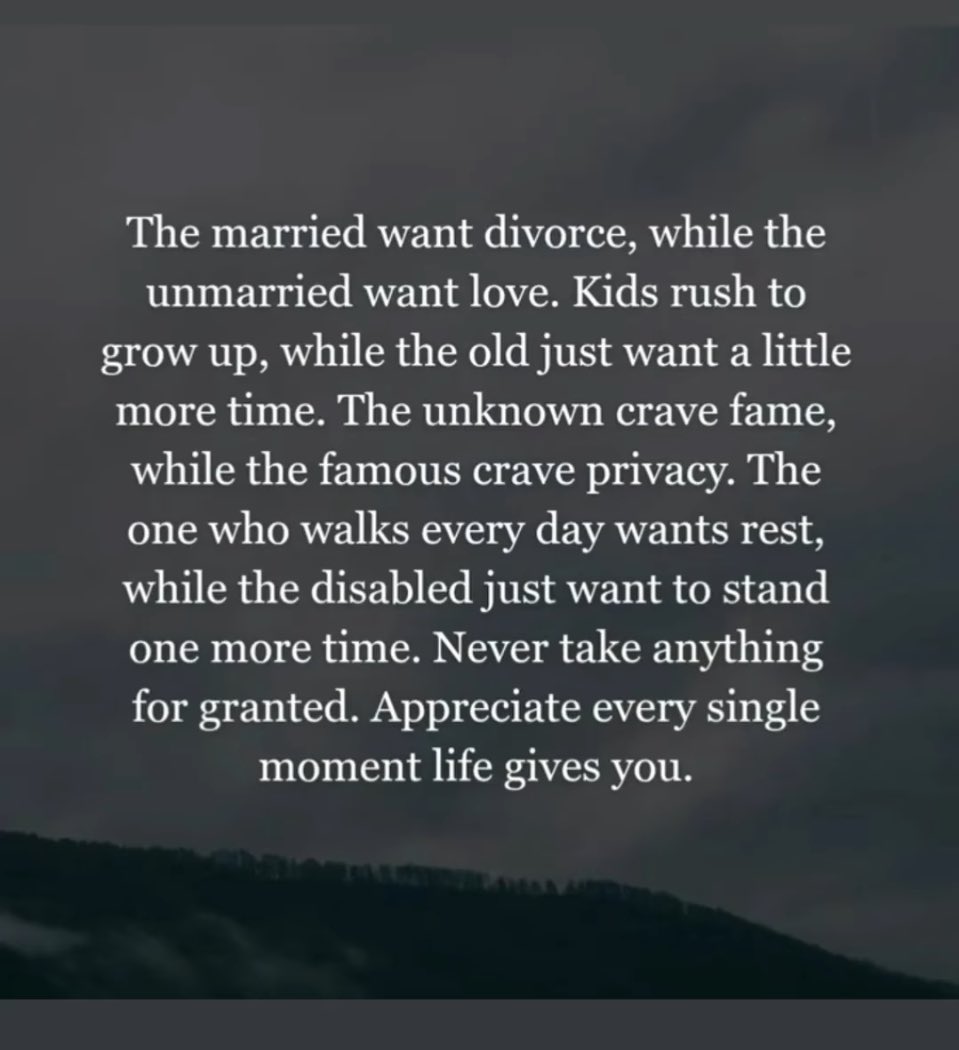 Ladybird tweet media