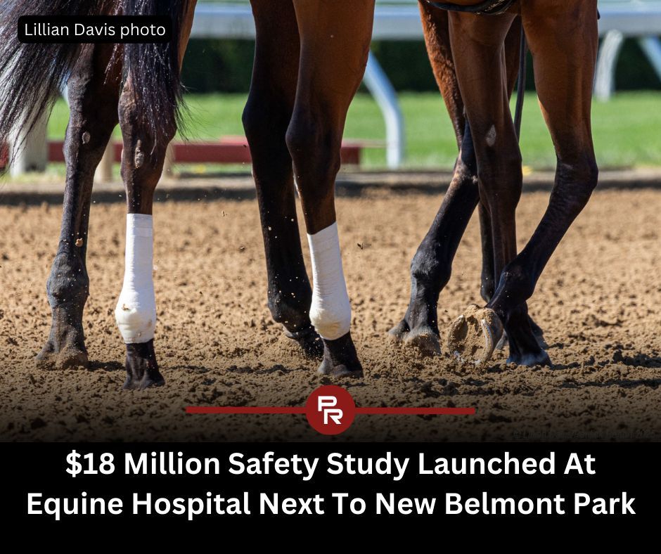 Paulick Report tweet media