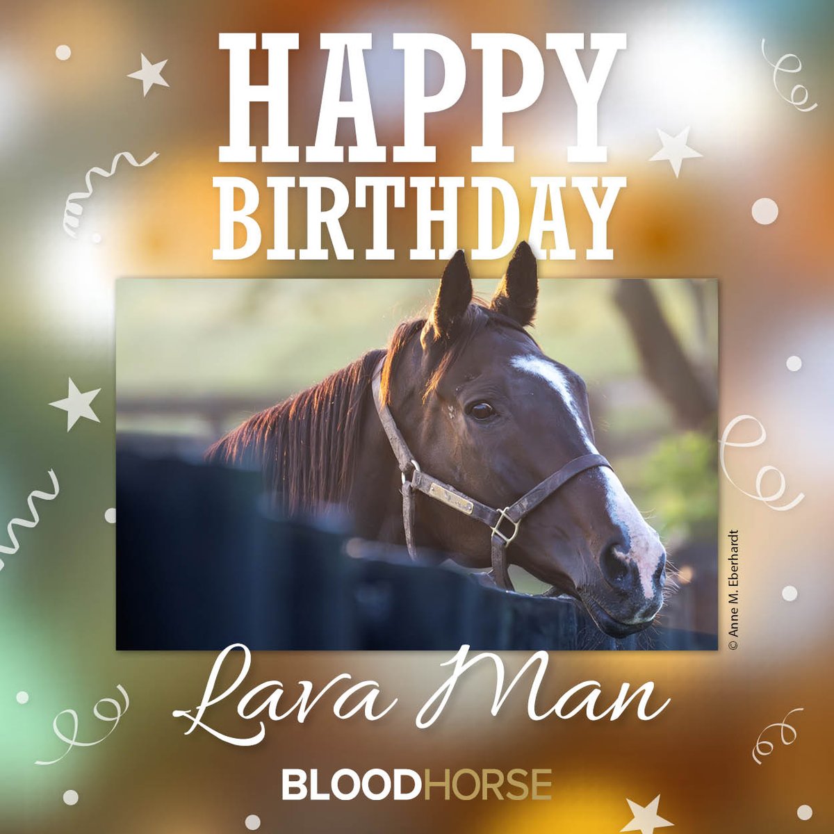 BloodHorse's tweet photo. Celebrating the birthday of the one and only Lava Man, born March 20, 2001. https://t.co/tERbAV3Cfw