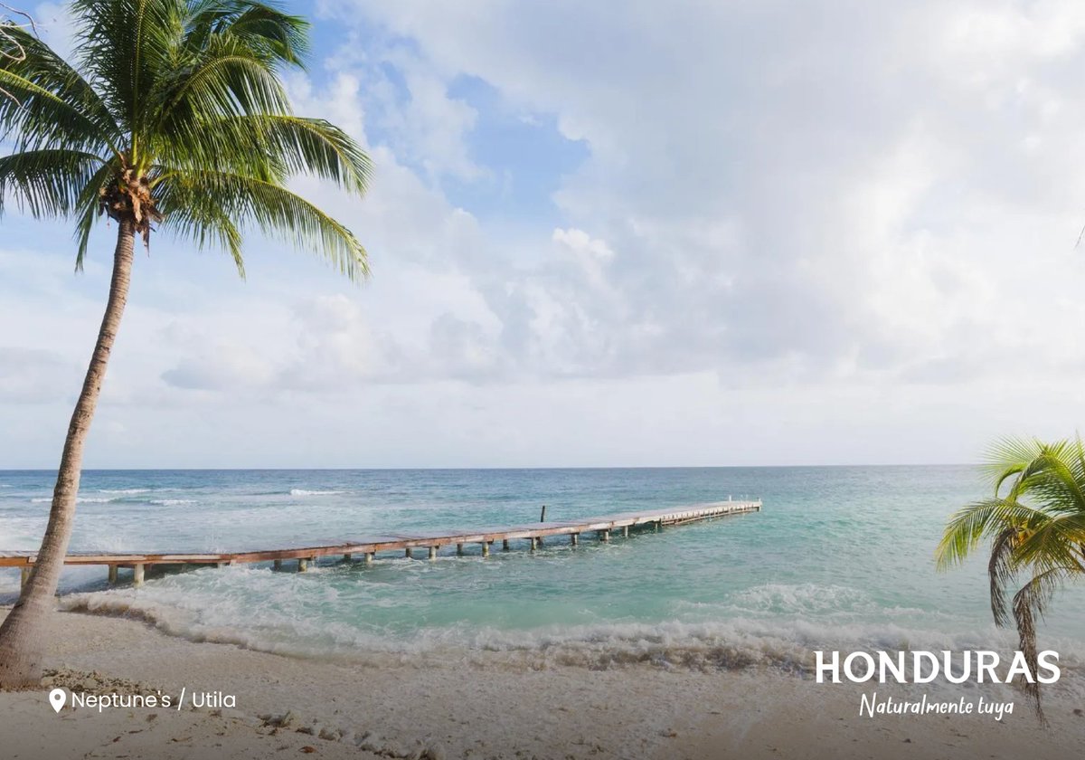 Visit Honduras tweet media
