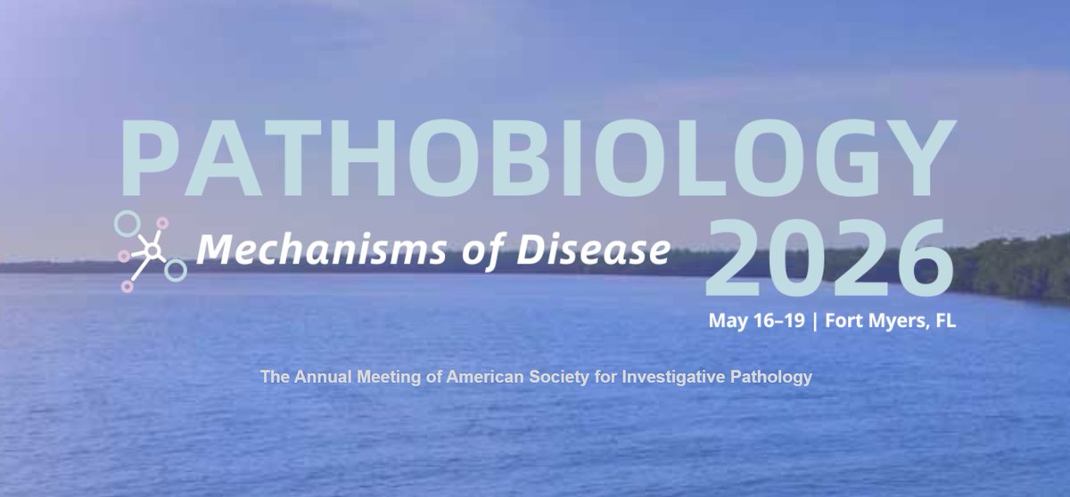 StainsFile tweet media