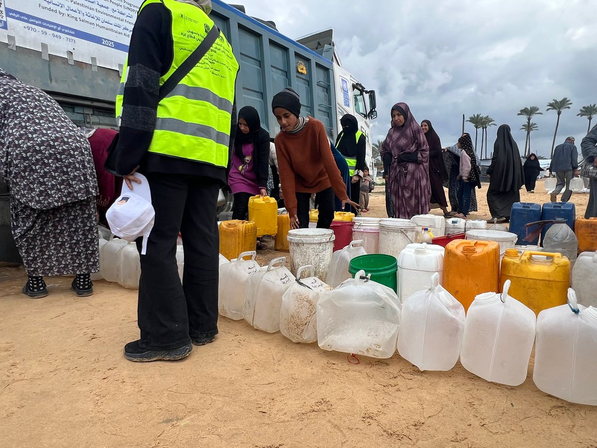 UNDP Palestine tweet media