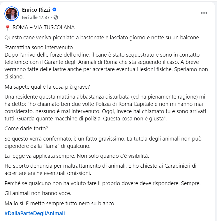 zampa_qua's tweet photo. IL CANE PRESO A BASTONATE Leggete 🔽 https://t.co/Mk33z5lyXk (video) io non ho guarato.E  STATO PORTATO VIA PER SEMPRE  grazie a Enrico Rizzi e a tutti uelli che hanno fatto si che fosse salvato 😊👏👏👏👏  #4voiceless  #dallaartedeglianimali https://t.co/SvBp28eb3l