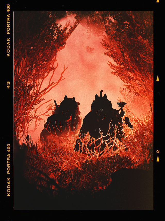 That ARC Guy tweet media