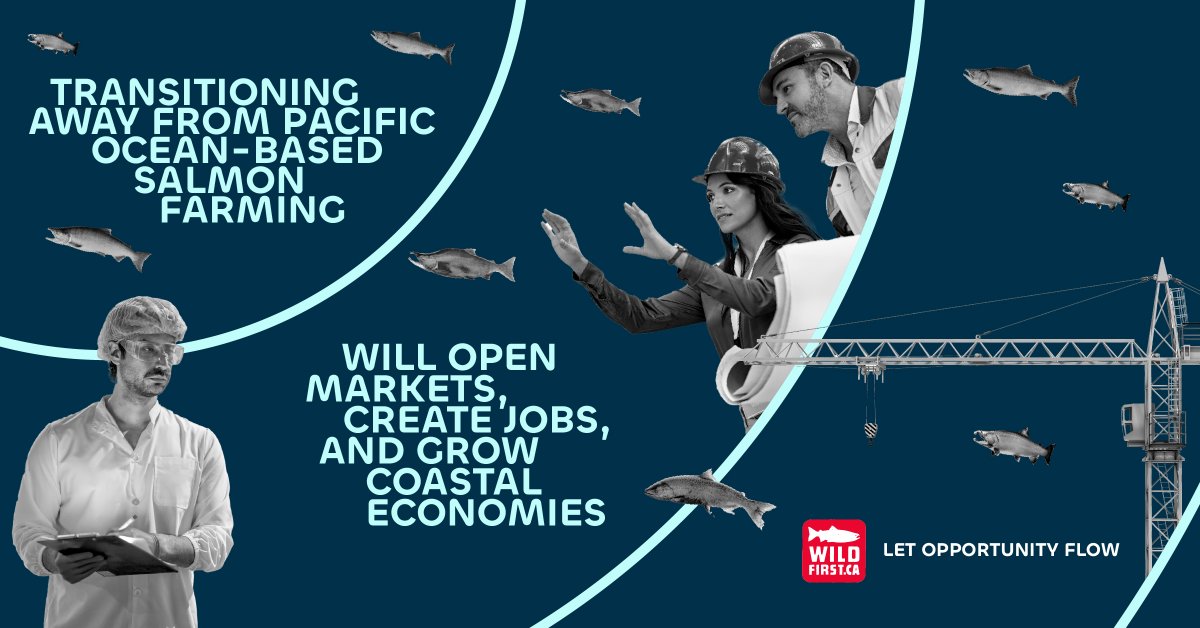 Wild First tweet media