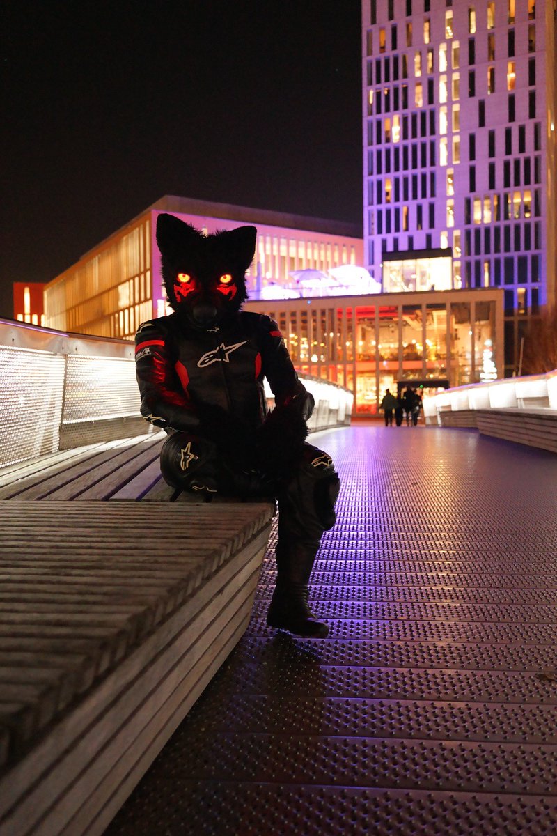 Dumb Dog Mastix tweet media